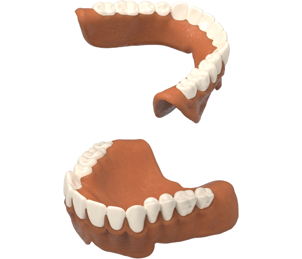 Printed denture with wax support removed