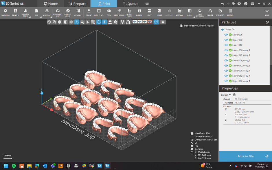 3D Sprint build preparation for NextDent dentures