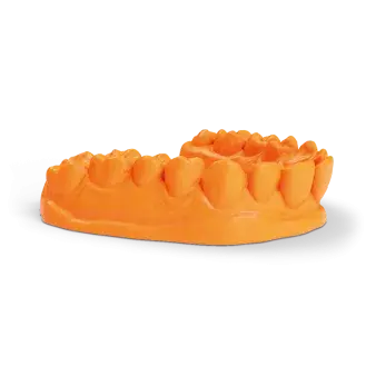 NextDent Model Ortho