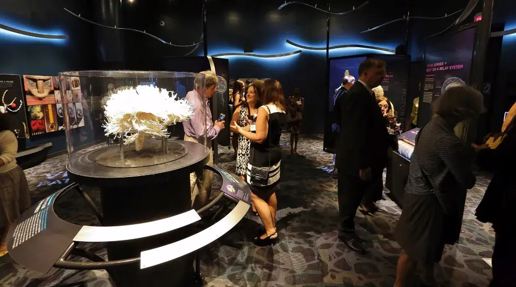 3D Printing the Mystery of the Brain001