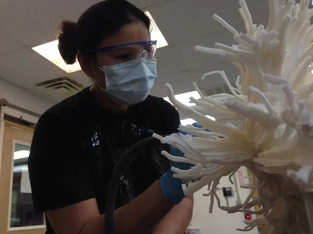 3D Printing the Mystery of the Brain005