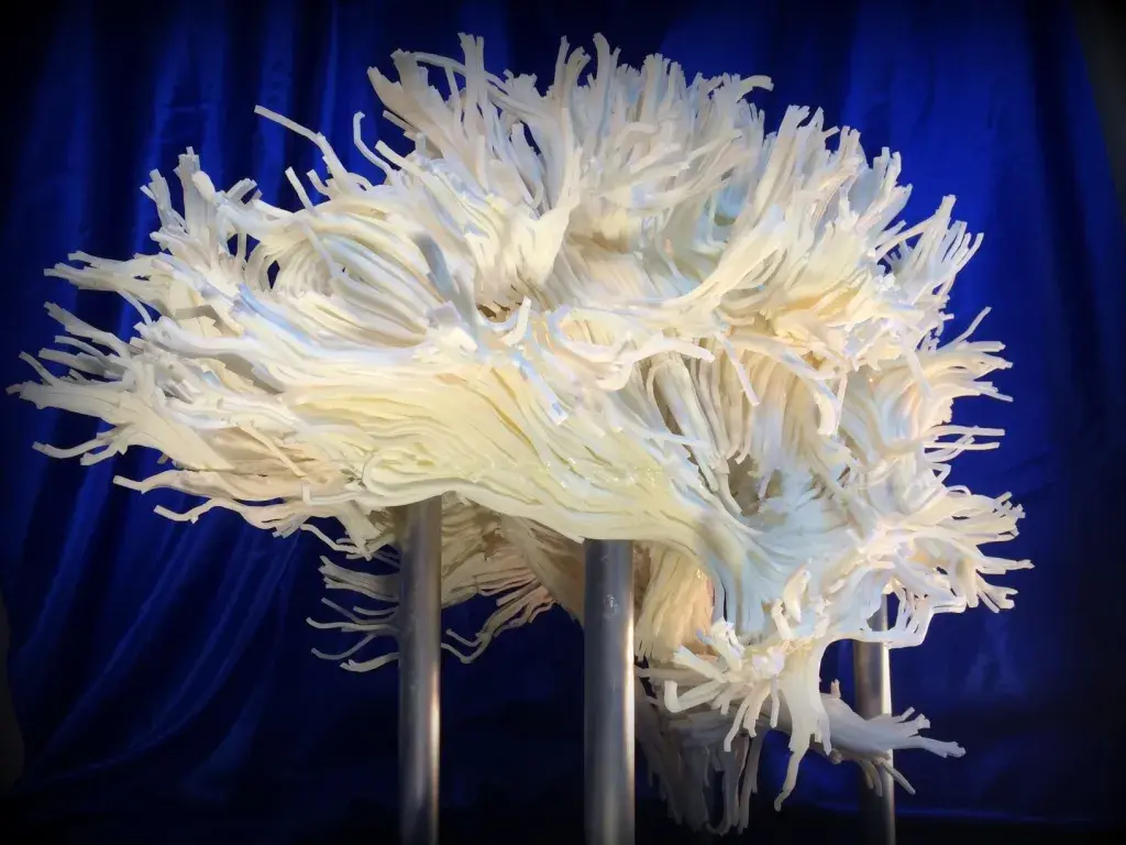 3D Printing the Mystery of the Brain006