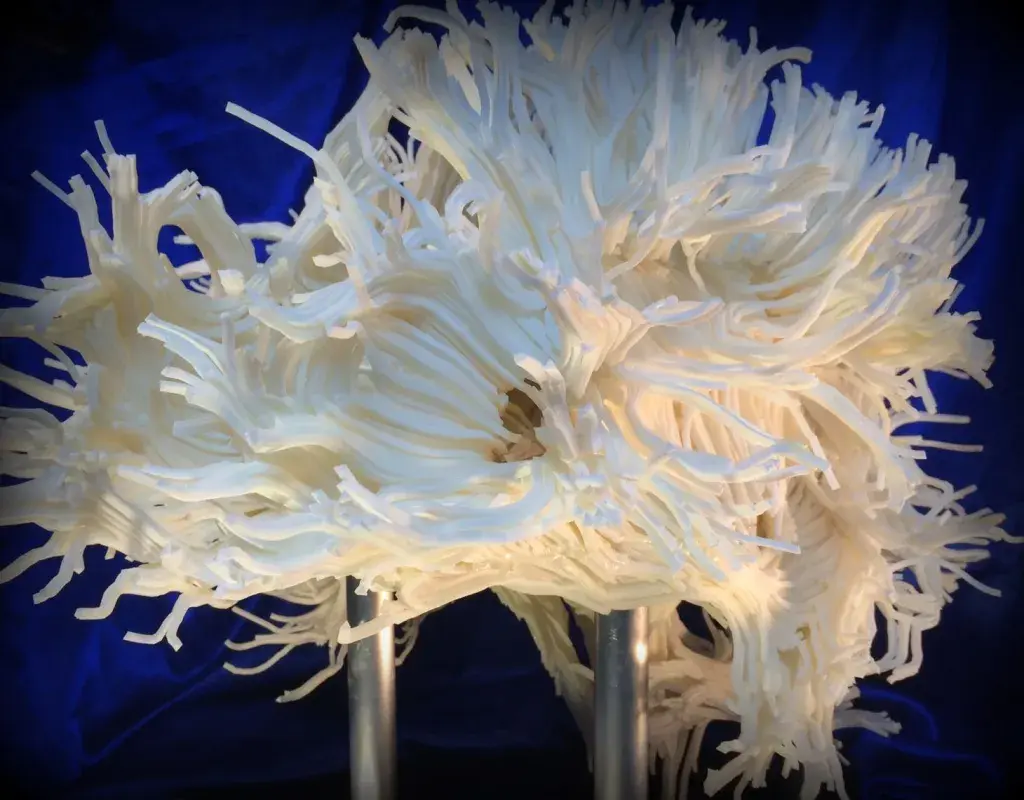 3D Printing the Mystery of the Brain007