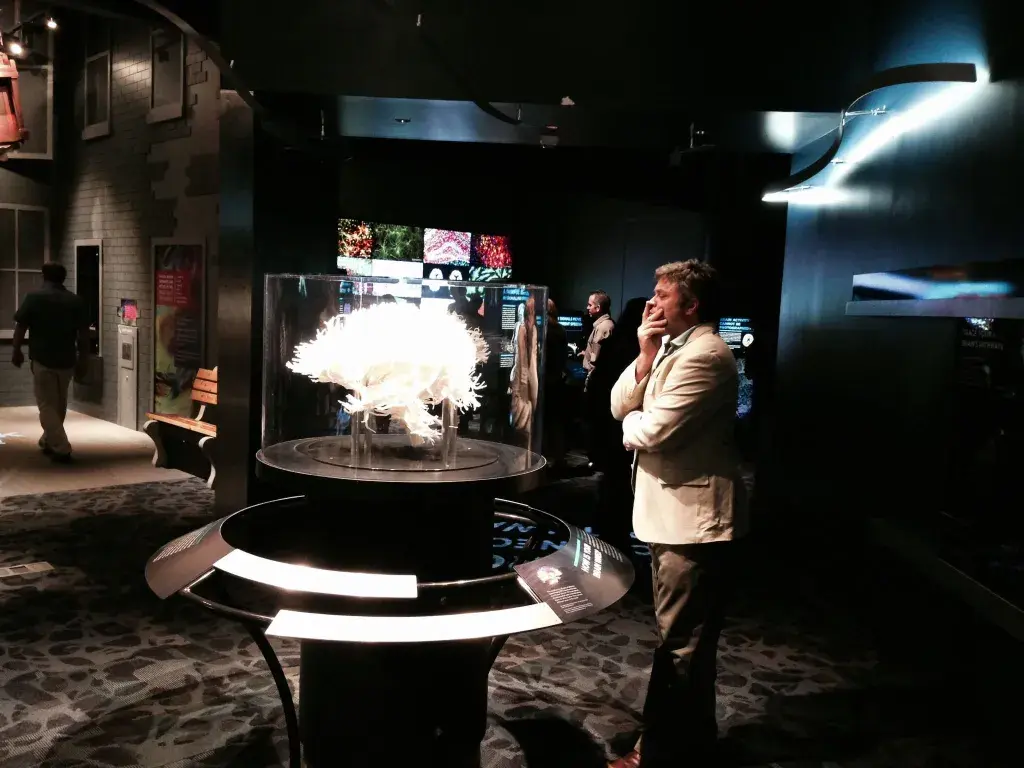 3D Printing the Mystery of the Brain008