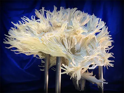 finished-brain-print-blue_0