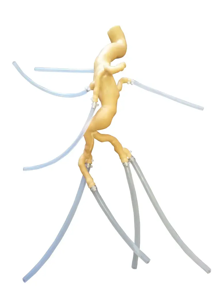 Aortic valve 3D printed to enable realistic feel for surgoen training