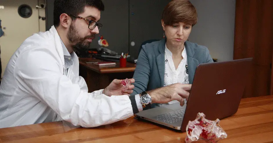 D2P Software Users with Models