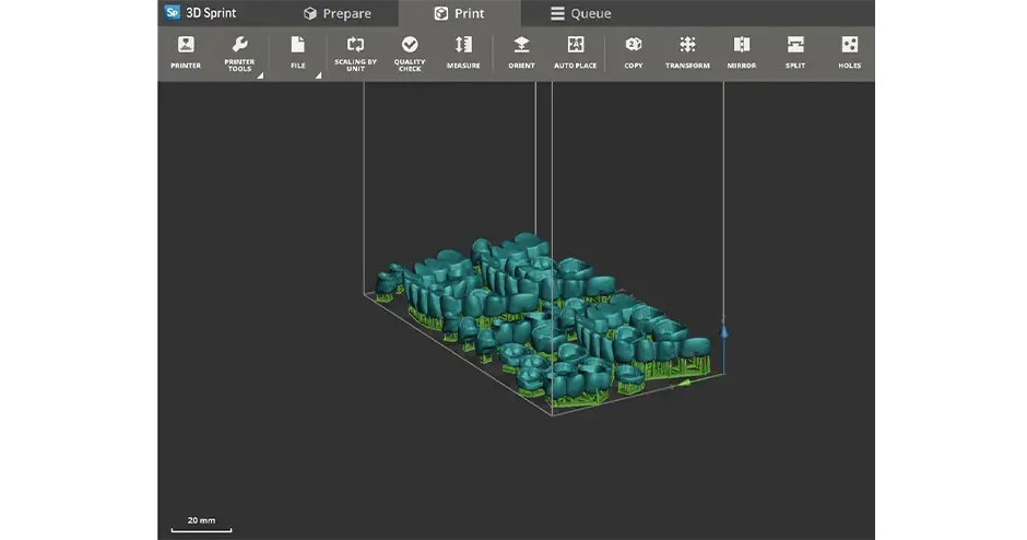 a screen capture of 3D Sprint print tray filled with dental parts