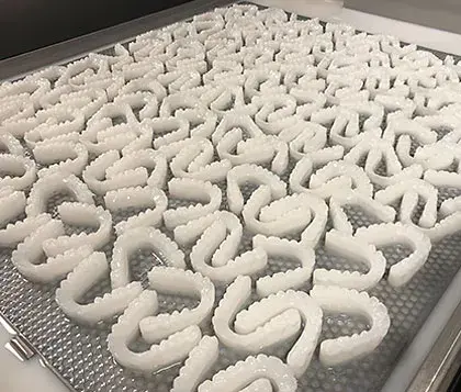 A tray of 3D printed dental molds