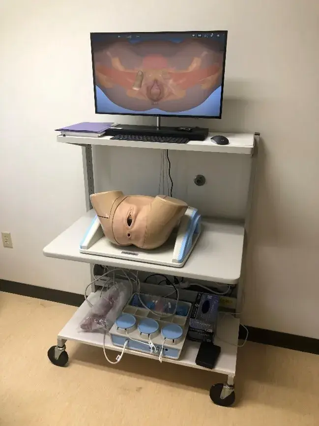 PELVIC Mentor