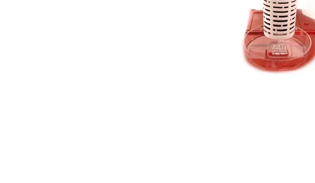 Allevi Bioprinting Sodium Alignate Banner