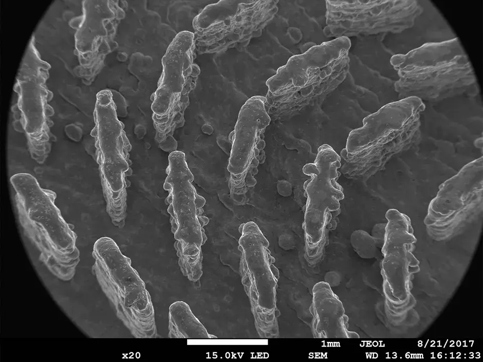 Semiconductor RF 20x SEM image