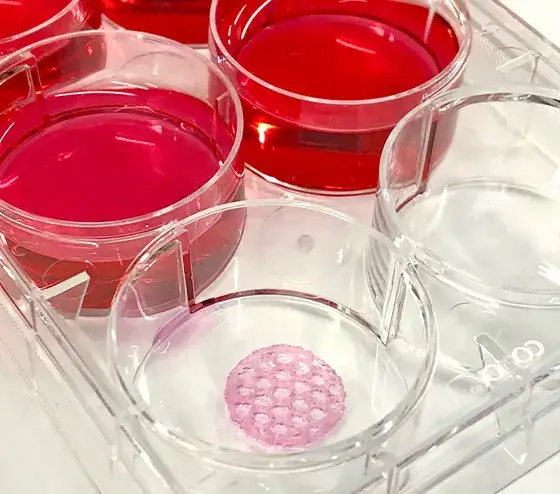 bioprinting GelMA gelatin methacrylate