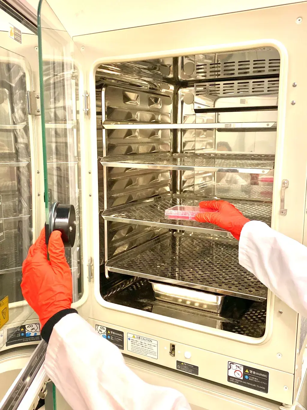 Allevi Transfer of cell culture from incubator Image