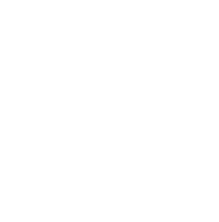 AIG Path to Market small