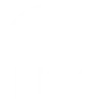AIG Reduce Risk Icon small