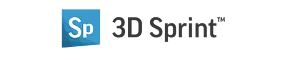 3D Sprint logo