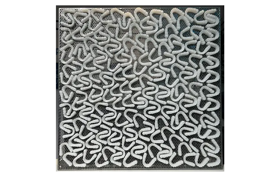 A tray showing multiple dentures