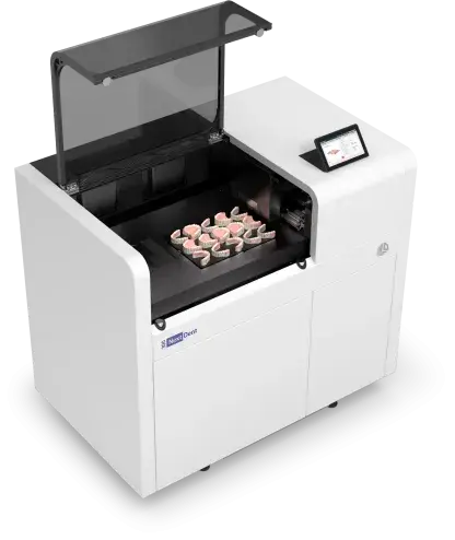 NextDent 300 Open Door