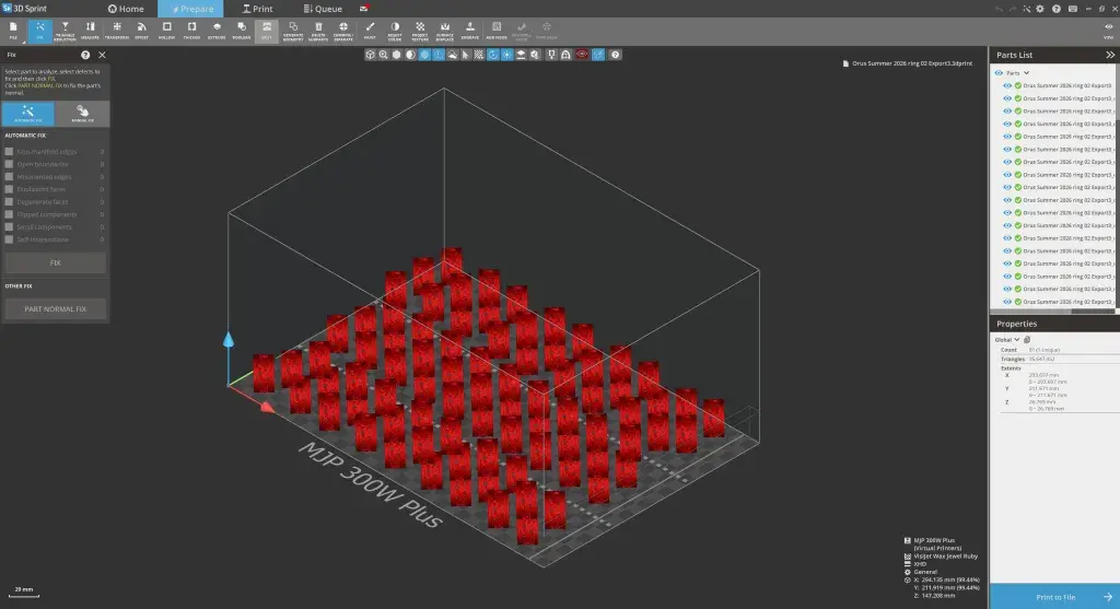 3D Sprint Prepare for MJP