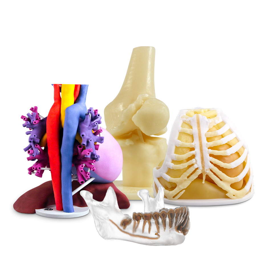 On Demand Anatomical Models 3D Systems