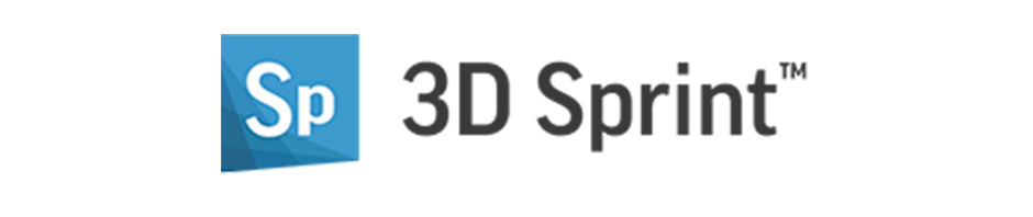 3D Sprint logo