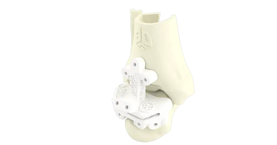 anatomic model of the ankle with guide